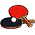 ping pong paddles and ball