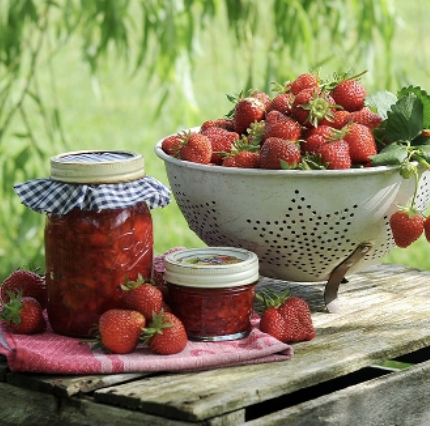 Online Jigsaw Puzzles