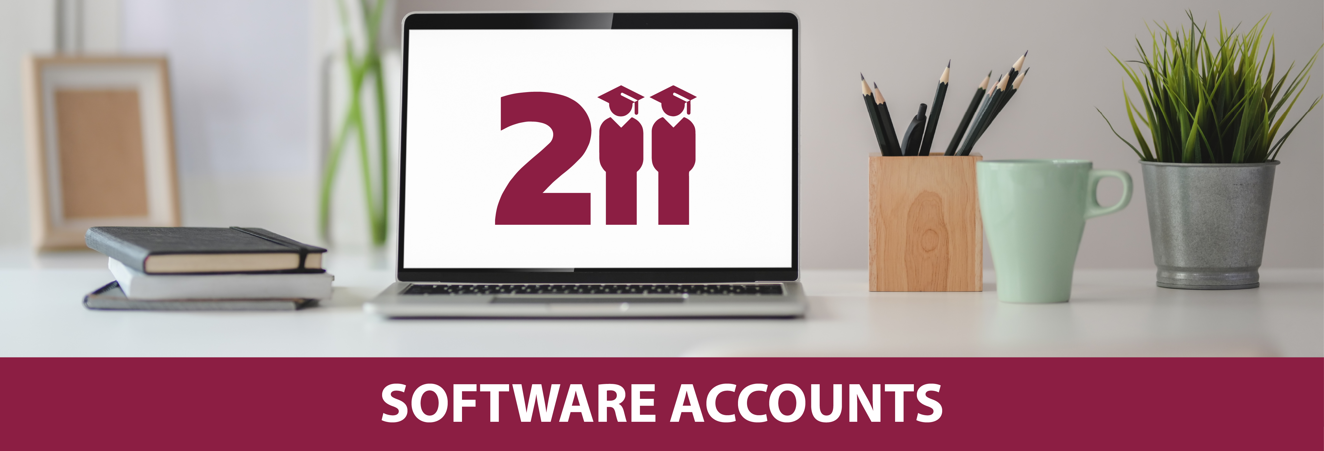 Software Accounts header
