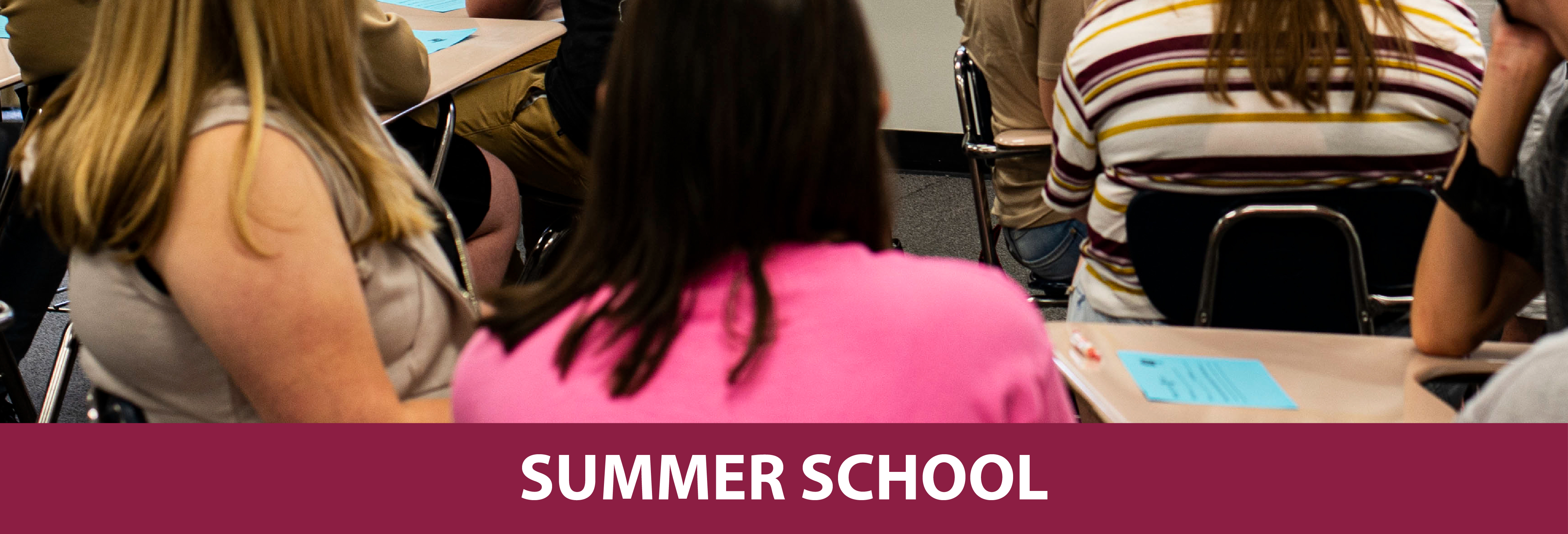 Summer School header